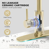 Brushed Gold Single Hole Kitchen Faucets with Pull Down Sprayer, Single Handle, High Flow Water, Pull Out Tap, Stainless Steel Sink Faucet, Suitable for Farmhouse Camper Laundry Rv Bar