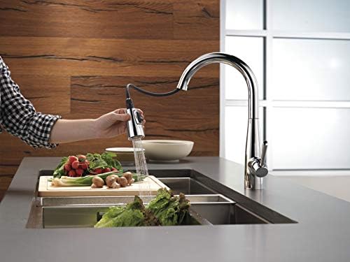 Delta 9113-DST Essa Kitchen Faucet, Standard, Chrome