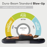 Intex Dura-Beam Standard Pillow Rest Classic Air Mattress Series with Internal Pump