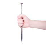 WOWCASE 12 Inch Metal Edging Spikes,10 Pcs Heavy Duty Solid Metal Landscaping Spike, Anchoring Spike Nails for Paver Edging, Weed Barrier, Artificial Turf Etc. (10)