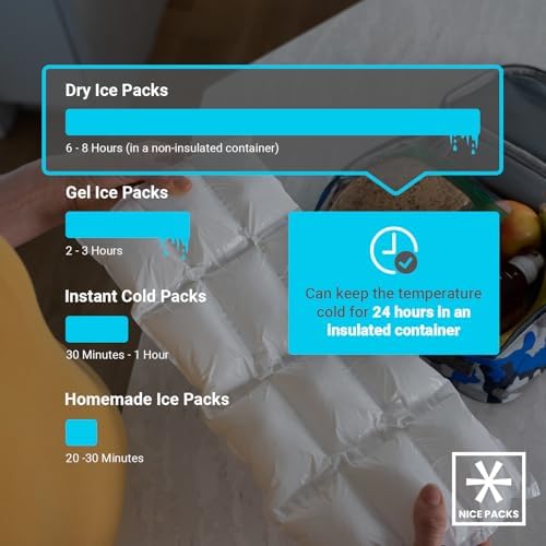 Nice Packs Reusable Dry Ice Packs for Coolers, Lunch Boxes, Frozen Food Shipping - Flexible and Long Lasting (10 Large Sheets)