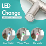 AIMADI Commerical Kitchen Faucet with Sprayer,Single Handle Pull Down Sprayer Kitchen Sink Faucet with LED Light Two Spout,Brushed Nickel