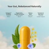 Gut Health Supplement with Turmeric, Aloe & Pylopass Probiotics – Digestive, Bloating & Mucosal Support – 15 Active Ingredients – 50 Capsules