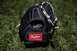 Rawlings | RSB Slowpitch Softball Glove Series | Multiple Styles