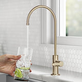 KRAUS Oletto Single Handle Drinking Water Filter Faucet for or Water Filtration System in Spot-Free Antique Champagne Bronze, FF-103SFACB