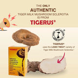 TIGERUS Algae Cooking Club Shiitake Mushroom Oil C Premium Infused Shiitake Oil for Aromatic Umami