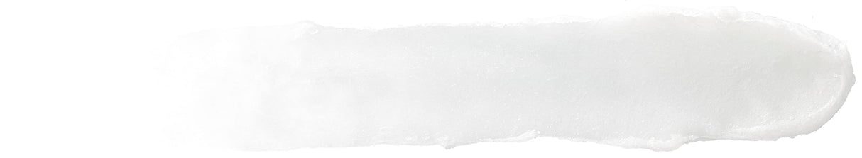 Burt's Bees Lip Balm Stocking Stuffers, Moisturizing Lip Care Christmas Gifts, for Dry Chapped Lips, Medicated with Menthol & Eucalyptus, Natural Origin Lip Care (4-Pack)