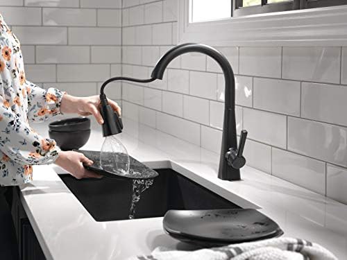 Delta 19802Z-BL-DST Lenta Kitchen Faucet, Standard, Matte Black