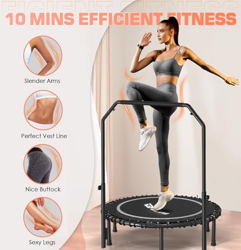 BCAN 450/550 LBS Foldable Mini Trampoline, 40"/48" Adult Fitness Trampoline with Bungees, U Shape Adjustable Foam Handle, Stable & Quiet Exercise Rebounder,Indoor/Outdoor Workout