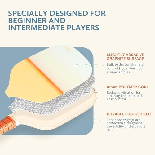 Pickleball Paddles Set of 2/4- USAPA Approved Graphite/Fiberglass Pickleball Racket, 2 Pickleball Rackets, 4 Balls and 1 Portable Carry Bag, Aesthetic Pickle Ball Set for Men Women Beginners