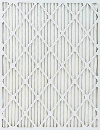 True Blue Allergen 20x36x1 Air Filter , MERV 11, 4-Pack