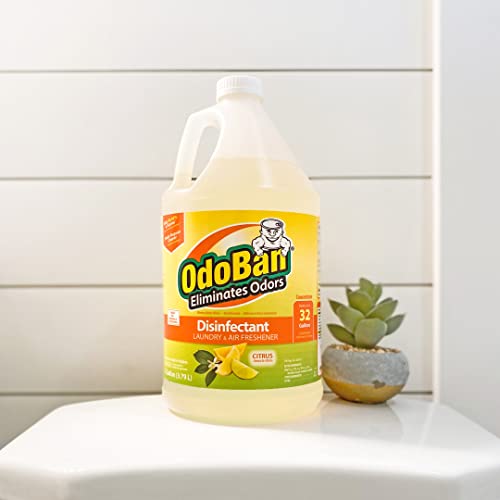 OdoBan Ready-to-Use Disinfectant and Odor Eliminator, Made in the USA, Citrus Scent, Set of 2, 32 oz Spray and 1 Gallon Concentrate