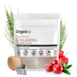 Organixx Clean Sourced Collagen Powder, Hydrolyzed Protein Powder Collagen Peptides with Vitamin C, and Types I, II, III, V, X, For Skin, Joints, Hair and Nails, Aging Support Unflavored (15 Servings)