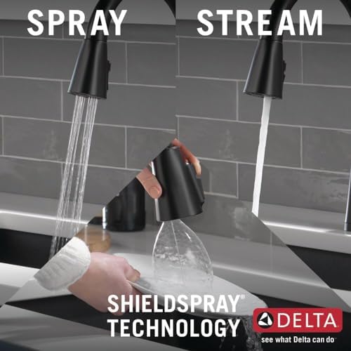 Delta 19802TZ-BL-DST Lenta Kitchen Faucet, Without Soap Dispenser, Matte Black