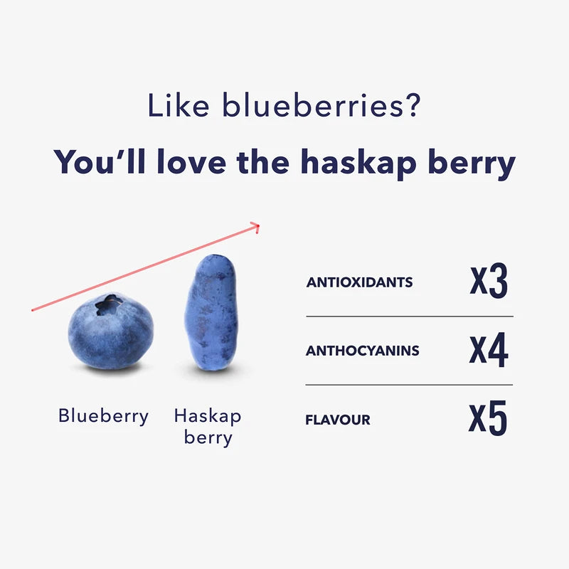 Haskapa | Superberry Powder | Made With 100% Natural Vegan Whole Haskap Berries | High in Vitamin C + Antioxidants | Gluten Free | Superfood Made from Freeze Dried Berries | (30 Day Supply)