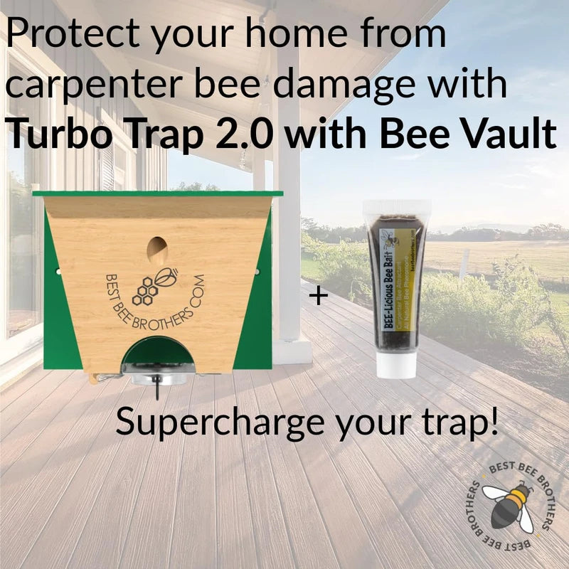 Best Bee Brothers Best Bee Brother Turbo Trap 2.0, Professional-Grade Carpenter Bee Trap for Outside with Bee Vault, Large Viewport & Spring-Loaded Door, 4.1 W x 4.8 H x 5.9 D (2 Pack)
