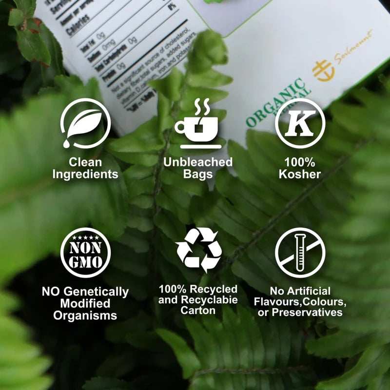 Soilmount Wild Organic Self-Heal Tea | Prunella vulgaris | Caffeine-Free Herbal Tea | 18 Tea Bags