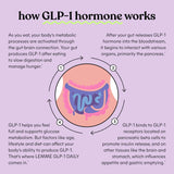 Lemme GLP-1 Daily – Reduce Hunger & Cravings, Boost GLP-1 & Support Weight Management | Clinically Studied Ingredients | 1-Month Supply (60 Capsules)