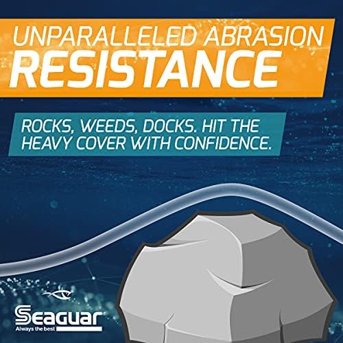 Seaguar Blue Label Fishing Leader Line for Saltwater, 100% Fluorocarbon, Clear, Multiple Sizes