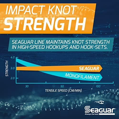Seaguar Blue Label Fishing Leader Line for Saltwater, 100% Fluorocarbon, Clear, Multiple Sizes