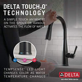 Delta 9113T-BL-DST Essa Kitchen Faucet, Touch2O, Matte Black