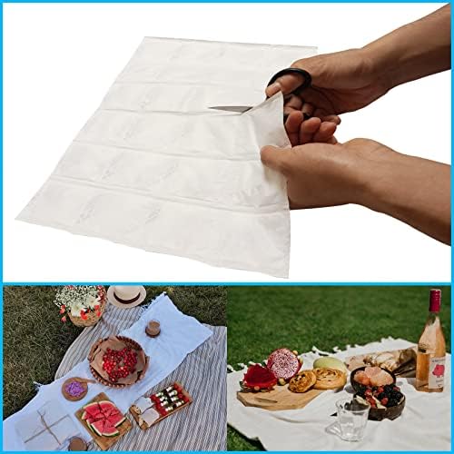 Reusable Ice Packs for Cooler Dry Ice Pack for Shipping Frozen Food & Perishables Storage & Mailing | Leak-Proof Long Lasting Cold Freezer Ice Packs for Lunch Bags & Insulated Boxes