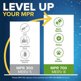 Filtrete 14x24x1 Air Filter, MPR 300, MERV 5, Clean Living Basic Dust 3-Month Pleated 1-Inch Air Filters, 6 Filters