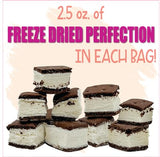 Freeze Dried Ice Cream Sandwich Bites, 2 Pack, Vanilla, Crunchy & Sweet Snack, 2.5 oz, Dehydrated, Resealable Gift Bag