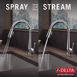 Delta 9113-DST Essa Kitchen Faucet, Standard, Chrome