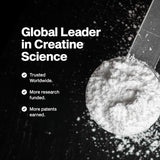 Muscletech Creatine Monohydrate Powder, Platinum Pure - Unflavored Micronized Creatine Powder for Men & Women - Workout Supplements for Performance, Muscle Recovery & Builder - (80 Servings)