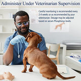 Rx Vitamins for Pets Phos-Bind for Dogs & Cats - Supports Normal Function & Health of Kidneys - 200 g Powder