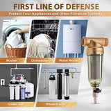 iSpring WSP-100 Reusable Whole House Spin Down Sediment Water Filter, 100 Micron Flushable Prefilter Filtration, 1" MNPT + 3/4" FNPT, Brass