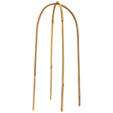 Coloch 20 Pack Bamboo U Trellis Support, 16 Inch U Loop Plant Stake Arch Garden Trellis for Potted Plants, Climbing Flowers and Vines, Ivy, Outdoor Planting