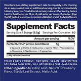 BodyHealth PerfectAmino Powder Strawberry (60 Serving) Best Pre/Post Workout Recovery Drink, 8 Essential Amino Acids Energy Supplement with 50% BCAAs, 100% Organic, 99% Utilization