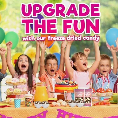 Freeze Dried Ice Cream Sandwich Bites, 2 Pack, Vanilla, Crunchy & Sweet Snack, 2.5 oz, Dehydrated, Resealable Gift Bag