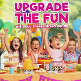 Freeze Dried Ice Cream Sandwich Bites, 2 Pack, Vanilla, Crunchy & Sweet Snack, 2.5 oz, Dehydrated, Resealable Gift Bag