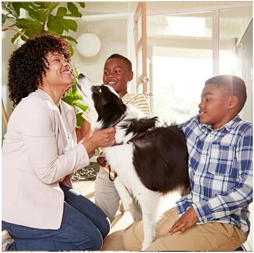 Filtrete 18x24x1 AC Furnace Air Filter, MERV 12, MPR 1500, CERTIFIED asthma & allergy friendly, 3 Month Pleated 1-Inch Electrostatic Air Cleaning Filter, 4-Pack (Actual Size 17.81 x 23.81 x 0.78 in)