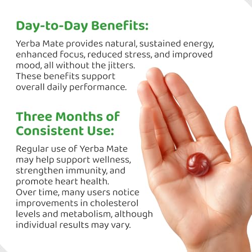 HOLYMARY Yerba Mate Gummies, Raspberry Flavor - Energy, Focus, Power Vegan, Non-GMO, Natural Ingredients, Gluten Free, 50 Delicious Supplement Gummies