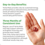 HOLYMARY Yerba Mate Gummies, Raspberry Flavor - Energy, Focus, Power Vegan, Non-GMO, Natural Ingredients, Gluten Free, 50 Delicious Supplement Gummies