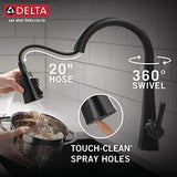 Delta 19802Z-BL-DST Lenta Kitchen Faucet, Standard, Matte Black