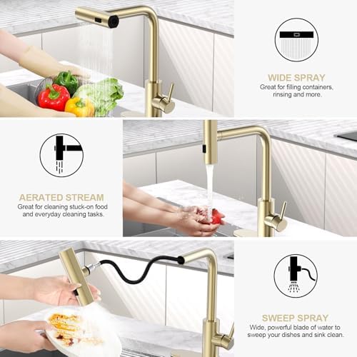Brushed Gold Single Hole Kitchen Faucets with Pull Down Sprayer, Single Handle, High Flow Water, Pull Out Tap, Stainless Steel Sink Faucet, Suitable for Farmhouse Camper Laundry Rv Bar