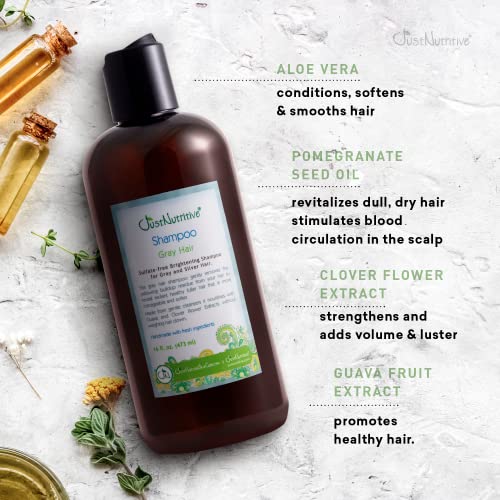 Just Nutritive Gray Hair Shampoo | Gray Hair Treatment | Just Natural Hair Care | Natural Shampoo 16 Oz