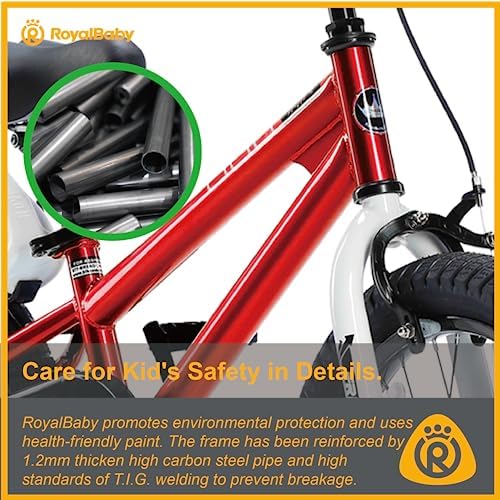 RoyalBaby Kids Bike EZ Freestyle Training Free Balance to Pedal Easy Learning Bicycle, 12-18 Inch for Toddlers to Big Kids