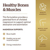 Solgar Chelated Magnesium, 250 Tablets - Supports Nerve & Muscle Function - Promotes Healthy Bones - Vital for Cellular Energy Release - Non-GMO, Vegan, Gluten Free, Dairy Free - 62 Servings