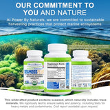 Power By Naturals Sea Moss Plus - USDA Certified Organic Wildcrafted Irish Seamoss, Bladderwrack & Burdock Root, Supplement for Immunity, 60Ct, 2 Pack