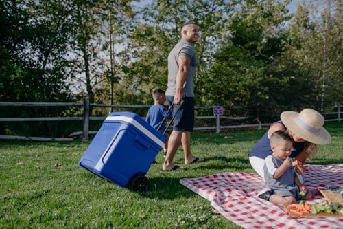 Igloo Cooler with Wheels, Profile II 28 Qt Hard Sided Ice Chest - Portable Insulated Container with Leak-Proof Design for Outdoor Use