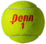 Penn Championship Tennis Balls - Regular Duty Felt Pressurized Tennis Balls