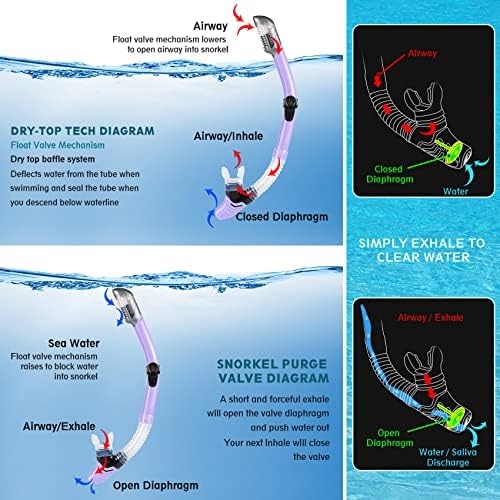 ZEEPORTE Mask Fin Snorkel Set, Travel Size Snorkeling Gear for Adults with Panoramic View Anti-Fog Mask, Trek Fins, Dry Top Snorkel and Gear Bag for Swimming Training, Snorkeling Kit Diving Packages