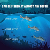 TRUSCEND Swimmax for Freshwater and Saltwater, Lifelike Fishing Lures for Bass Trout Crappie Walleye Pike Bluegill Salmon, Swimbait for Bass Fishing, Amazing Fishing Gear Gifts for Family Fishing
