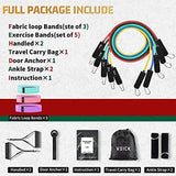 VEICK Resistance Bands, Exercise Bands, Workout Bands Set for Working Out with Handles for Men Women, Elastic Exercising Bands for Fitness Weights Work Out at Home Gym